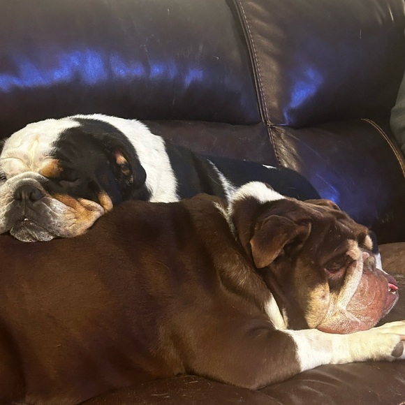 Meet your Posher, Amy. - Picture 8 of 8